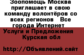 Зоопомощь.Москва приглашает в свою команду волонтёров со всех регионов - Все города Интернет » Услуги и Предложения   . Курская обл.